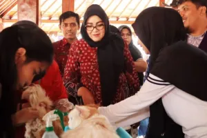 Cegah Penularan, Pemkab Banyumas Siapkan 800 Dosis Vaksin Rabies Gratis 