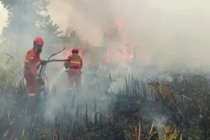 Kualitas Udara Memburuk kar...