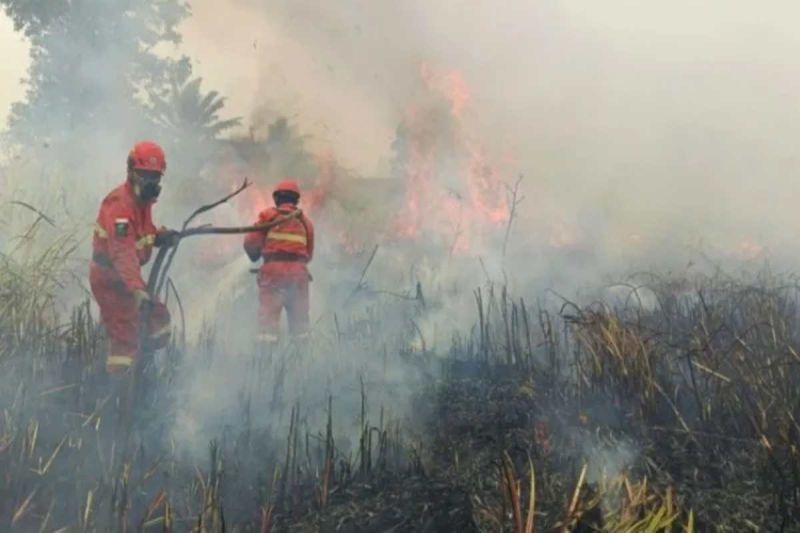 Kualitas Udara Memburuk karena Karhutla, Warga Sulawesi Barat Diimbau Gunakan Masker 