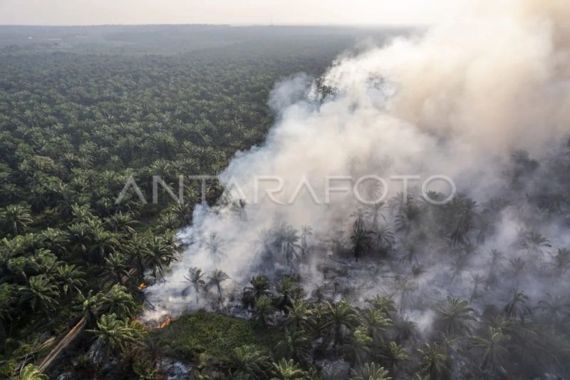 Pakar Unja: RPPEG Penting Cegah Kerusakan dan Kebakaran L...
