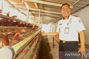 Pembekalan Keterampilan Beternak Ayam bagi WBP Rutan Mentok