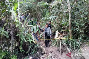 PETI Marak, Bupati Sigi Minta Aparat Penegak Hukum Bertindak Tegas.