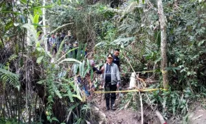 Tambang Emas Ilegal di Kangkuro Sigi Jadi Sorotan, Bupati: Sudah Ditutup Dua Kali tapi Dibuka Lagi