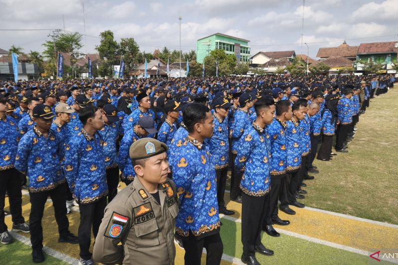 10 PPPK Paruh Waktu di Bantul Tak Diperpanjang Kontrak, K...