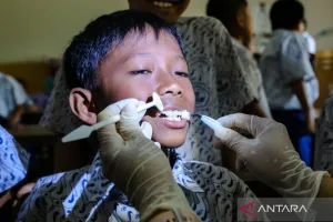 CKG Jadi Bantalan Perlindun...