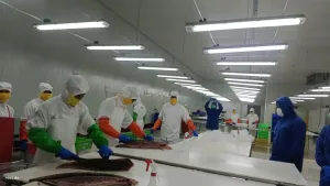 Ekspor Perikanan Maluku Tembus Rp700 Miliar, Tuna dan Udang Vannamei Laris di Pasar Global