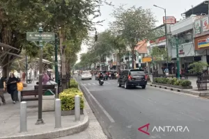 Parkir Jadi Sorotan saat Ajang Wayang Jogja Night Carnival, Dishub Buka Sejumlah Kantong di Malioboro