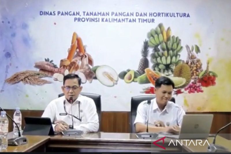 Terungkap! Ini Penyebab Produksi Pisang Kaltim Anjlok hin...