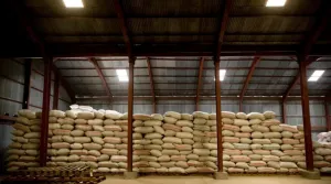 FAO Tekankan Pentingnya Investasi Pertanian karena Memburuknya Krisis Pangan
