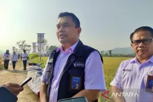 Jelang Musim Tanam, Pupuk Indonesia Siapkan Stok 350 Ribu Ton untuk Sulawesi, Maluku, dan Papua