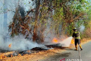 Kebakaran Lahan di Bone Bolango Gorontalo Berhasil Dipadamkan Tim Gabungan.