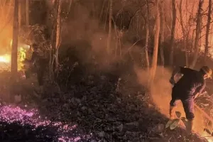 Pemerintah Harus Perkuat Layanan Kesehatan