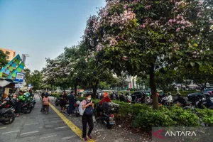 Cuaca Jakarta Hari Ini, Jumat (9/10), Diprakirakan Cerah
