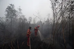 DPR Usul Denda Korporasi Ka...