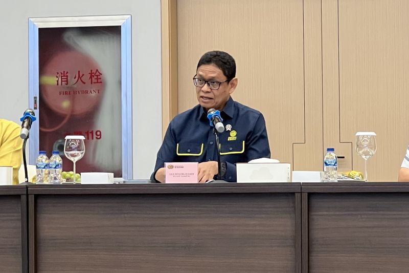 ESDM bidik pengembangan tahap II PLTA Batang Toru sebesar...