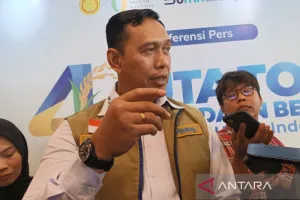 Kendalikan Harga, Perum Bulog Gelontorkan 300 Ribu Ton Beras Premium 