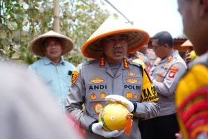 Keren! Polres Metro Bekasi Sulap Lahan Sempit Jadi Kebun Melon Hidroponik