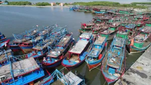 KKP dan Kemenkeu Perkuat Tata Kelola PNBP Perikanan Tangkap