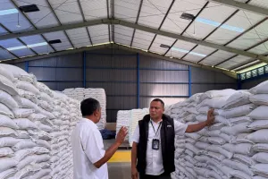 Perum Bulog Bali Catat Realisasi Penyerapan Beras Per 7 Oktober 2026 Sebanyak 7.218 Ton
