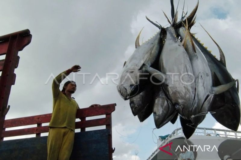 Indonesia Dapat Tambahan Kuota Tangkapan Tuna Sirip Biru ...