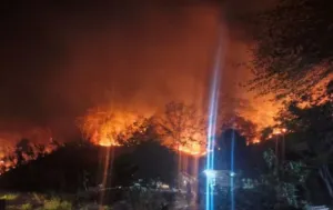 Penanganan Kebakaran Hutan dan Lahan di Majene