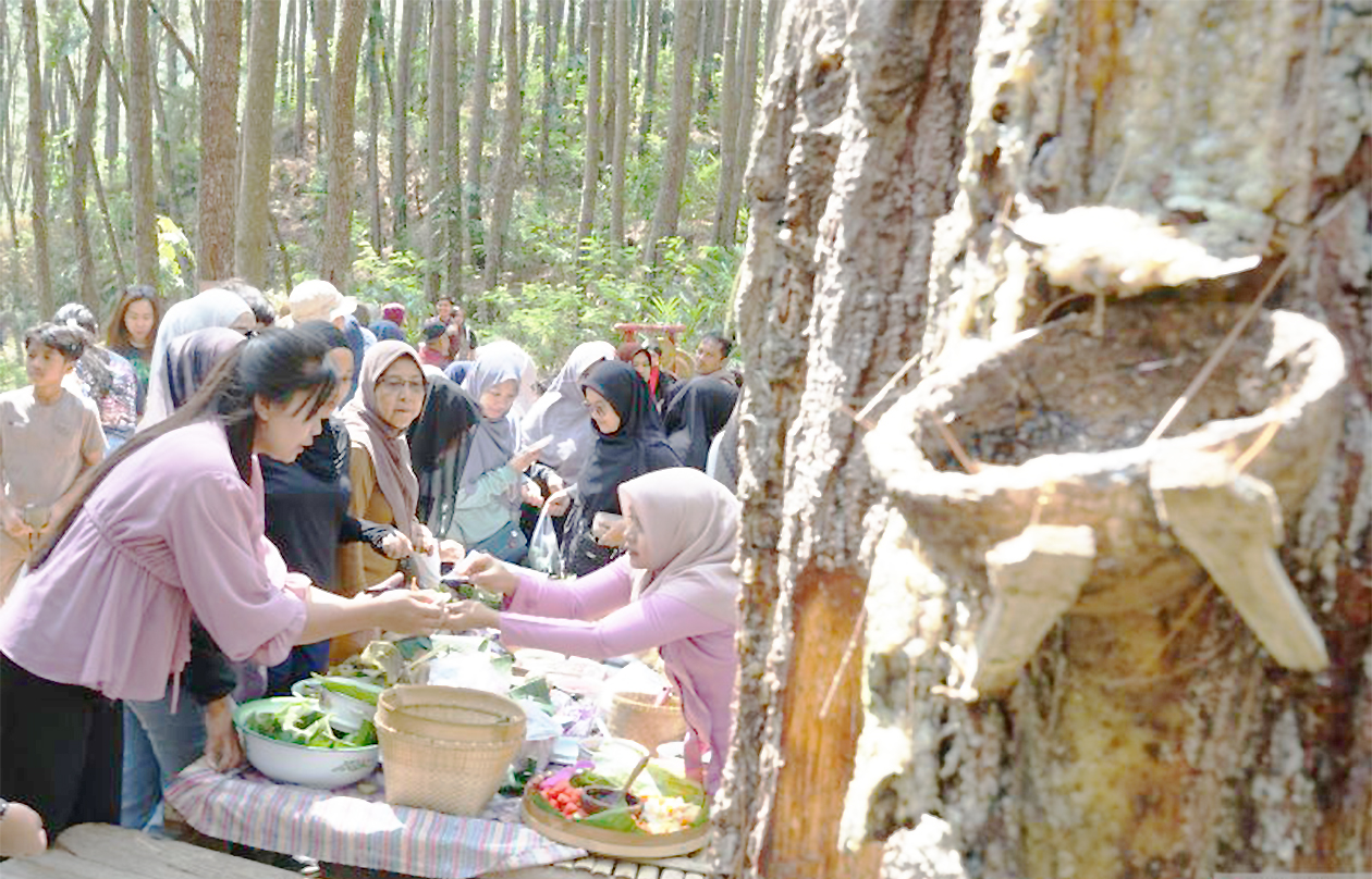 Dagangan Langsung Ludes! Intip Keunikan Pasar Kuliner Jadul Hutan Pinus Trenggalek