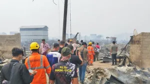 Gubernur Babel Sebut Kebakaran Serdang Bangka Selatan Terbesar di Indonesia