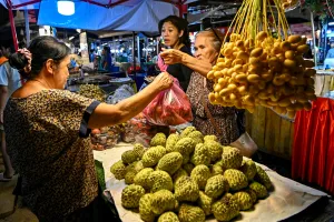 Laos Kekurangan Tenaga Kerja, Sektor Bisnis Domestik Lesu