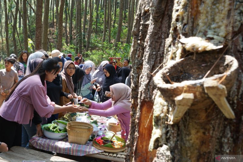 Pasar Jadul Pangupo Jiwo Trenggalek Mendadak Ramai, Apa y...