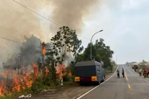 Pemadaman Karhutla Seluas Empat Hektare di Tanjungpinang