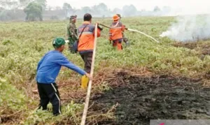 Pemkab OKI Perketat Pengawasan 6 Perusahaan Terkait Karhutla di Lahan Konsesi