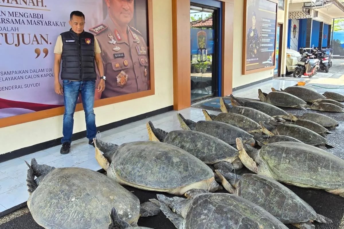 Polda Bali Berhasil Gagalkan Dugaan Penyelundupan 22 Peny...