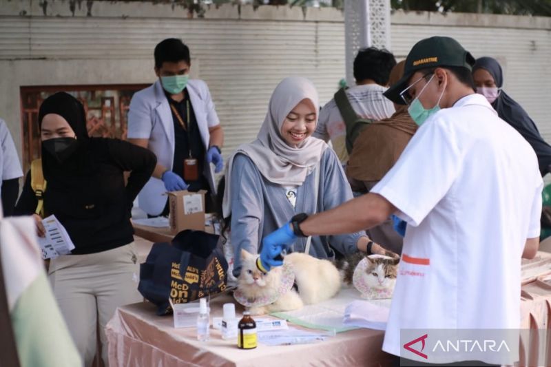 Balai Karantina Provinsi Kalsel Gelar Vaksinasi Rabies Gratis bagi Hewan Peliharaan