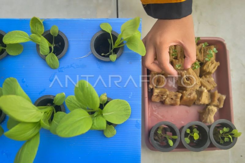 Dorong Urban Farming, Pemkot Tangerang Gelar Pelatihan Hi...