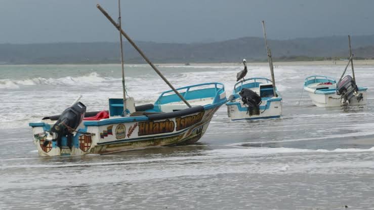 El Nino Catat Rekor Suhu Tertinggi di Zona Pasifik Utama,...