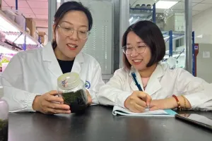 Ilmuwan Temukan Lumut Tangguh yang Berpotensi Mendukung Kolonisasi Mars