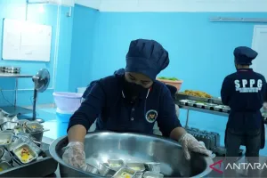 Jaga Keamanan MBG, Badan Gizi Nasional Terbitkan SOP Pendinginan Makanan di SPPG 