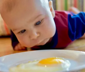 Jangan Sembarangan Beri Makan Bayi Telur Setengah Matang, Bisa Begini Akibatnya!