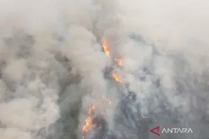 Karhutla Tak Kunjung Padam, Pemerintah Uji Coba Cairan Pemadam dari Brazil di Sumatra Selatan