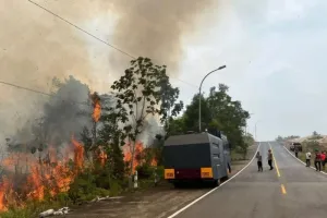 Kebakaran 4 Hektare Lahan di Tanjungpinang Berhasil Dipadamkan, Polisi Selidiki Penyebab Karhutla