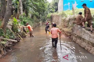 Membersihkan Saluran Pemicu Banjir di Bojonggede