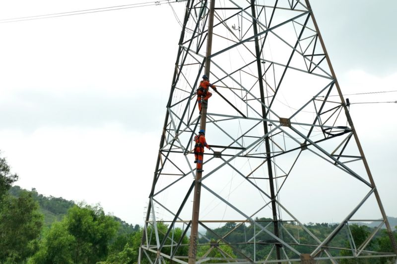 PLN Batam secara Bertahap Pulihkan Gangguan Kelistrikan d...