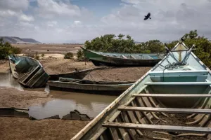 Tragedi Kapal Migran Tujuan Yaman Terbalik di Djibouti, 139 Tewas