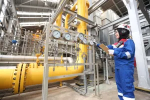 Jangan Biarkan Pabrik Tersendat, Kadin Minta Persoalan Gas Segera Dituntaskan