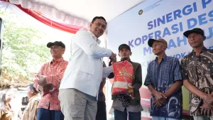 Jangkauan Meluas, BULOG Lay...