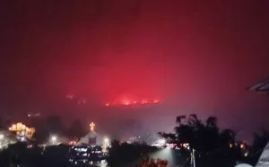 Kawasan Cagar Alam Gunung Lokon Kebakaran, 100 Hektare Lebih Ludes 