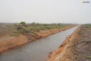 Kementerian PU akan Optimalkan Irigasi untuk Aliri 1.000 Hektare Sawah di Merauke