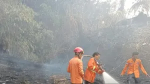 Ketua DPD Minta Pemerintah Pertimbangkan Bantuan Negara Sahabat untuk Padamkan Karhutla