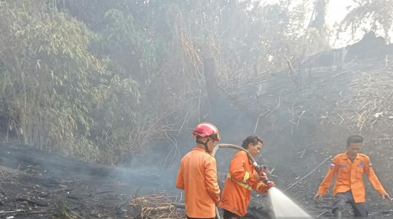 Ketua DPD Minta Pemerintah Pertimbangkan Bantuan Negara Sahabat untuk Padamkan Karhutla