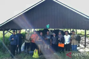 Krisis Pakan Ternak, Dinas Pertanian Tapin Siapkan Langkah Antisipasi 